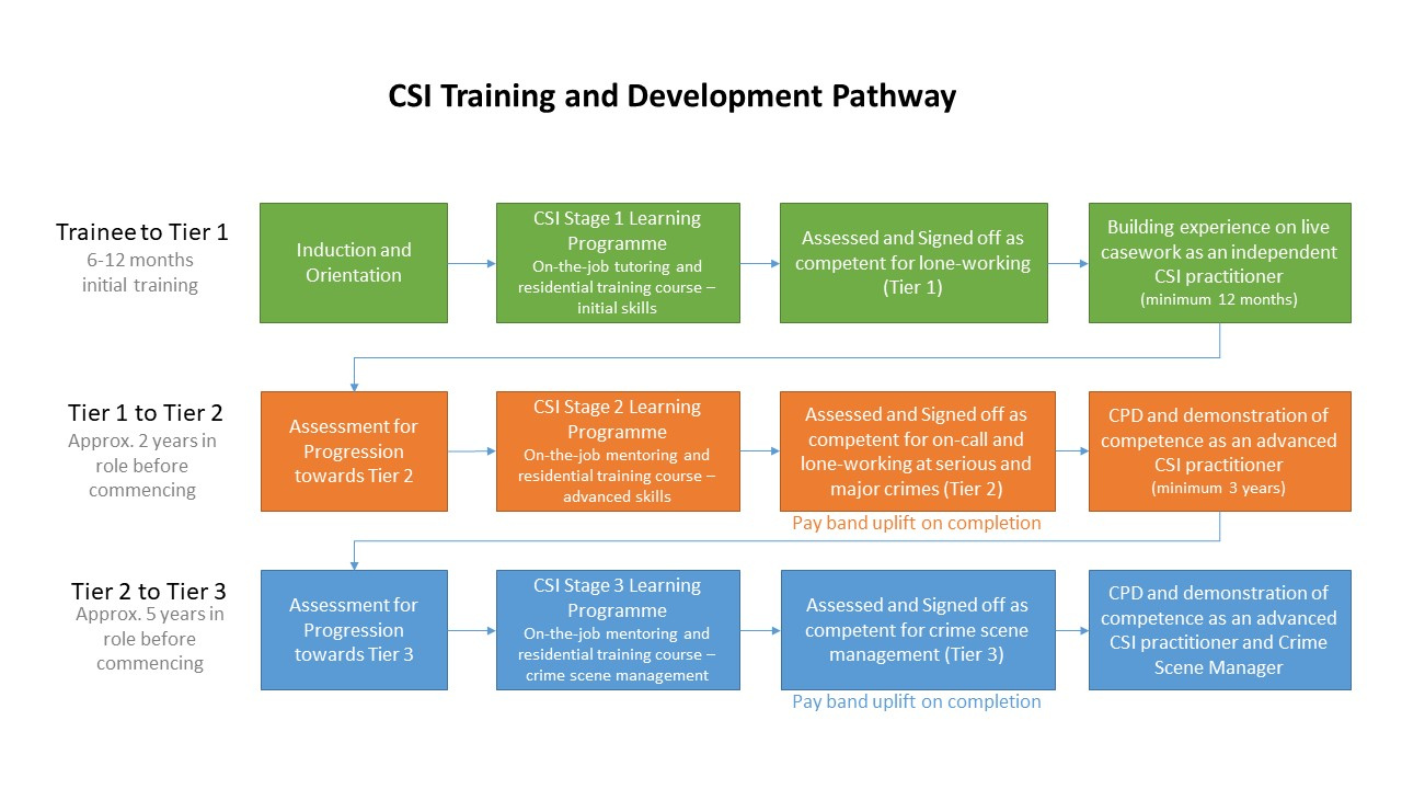 CSI Training and Development Pathway