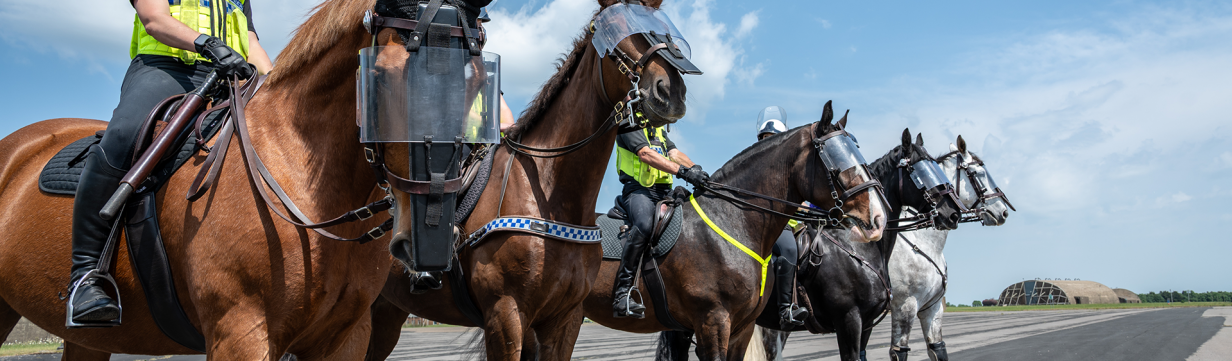 national mounted training